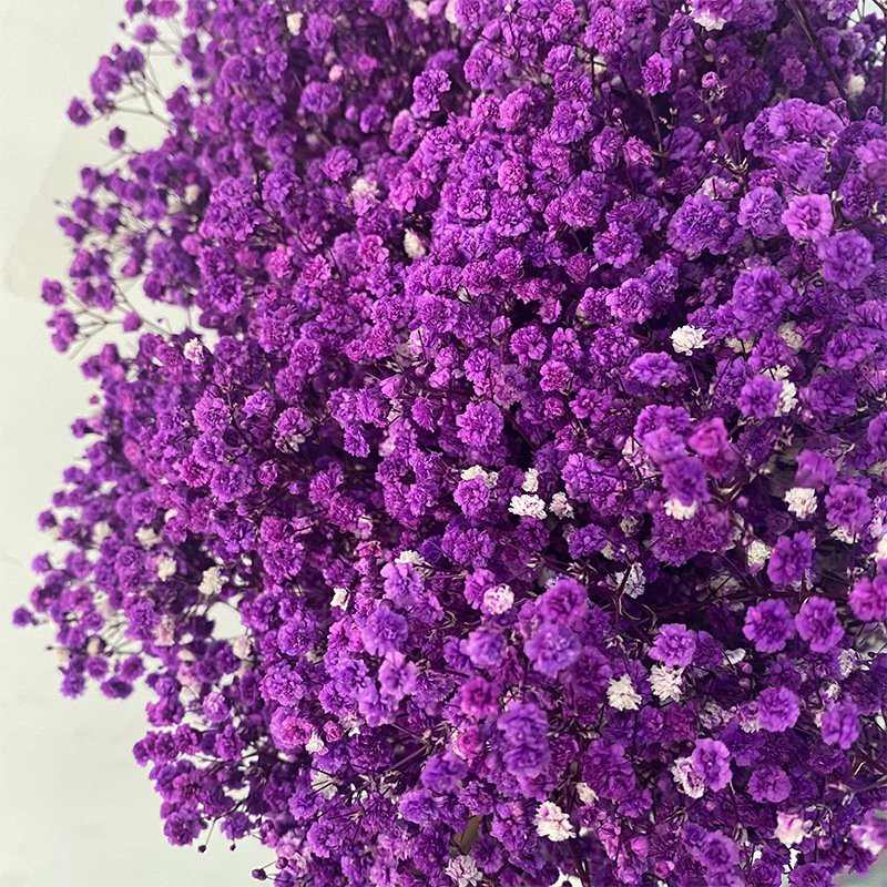 Factory Sale Million Star Bouquet Preserved Babys Breath Flowers Dried Gypsophila for Mothers Day Gifts