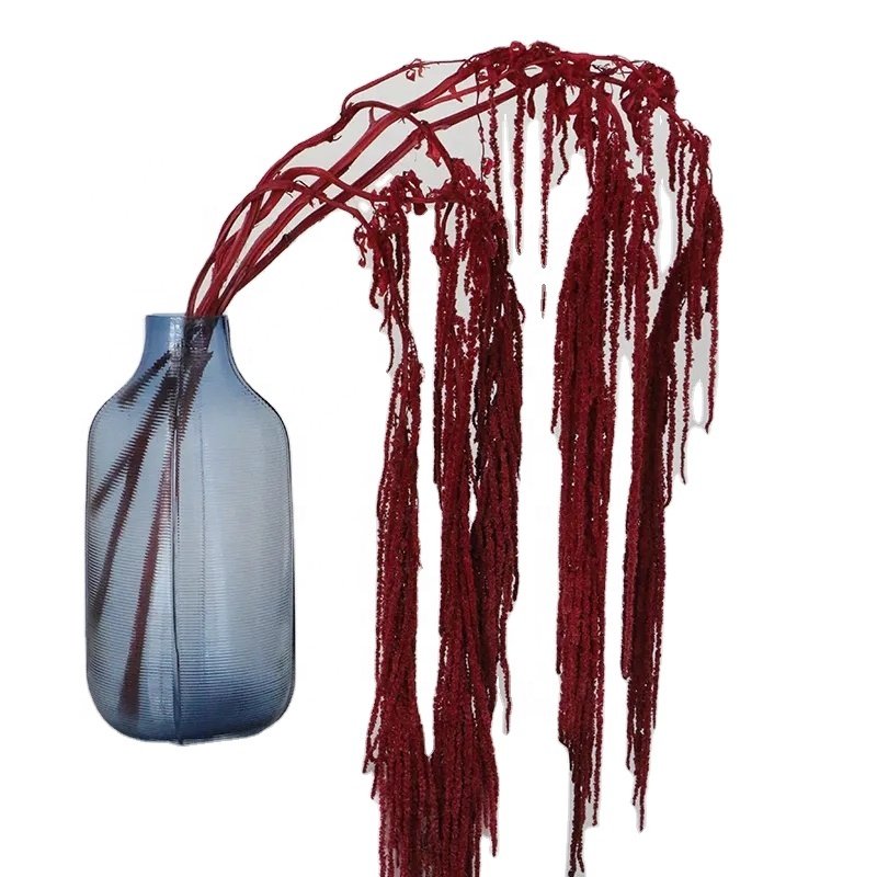 Natural Preserved amaranthus, long string grains flower for wedding wall hanging decoration