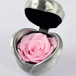 Silver-Pink