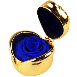 Golden-Blue