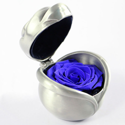 Silver-Blue