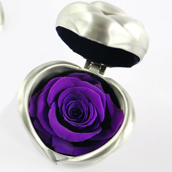 Silver-Purple