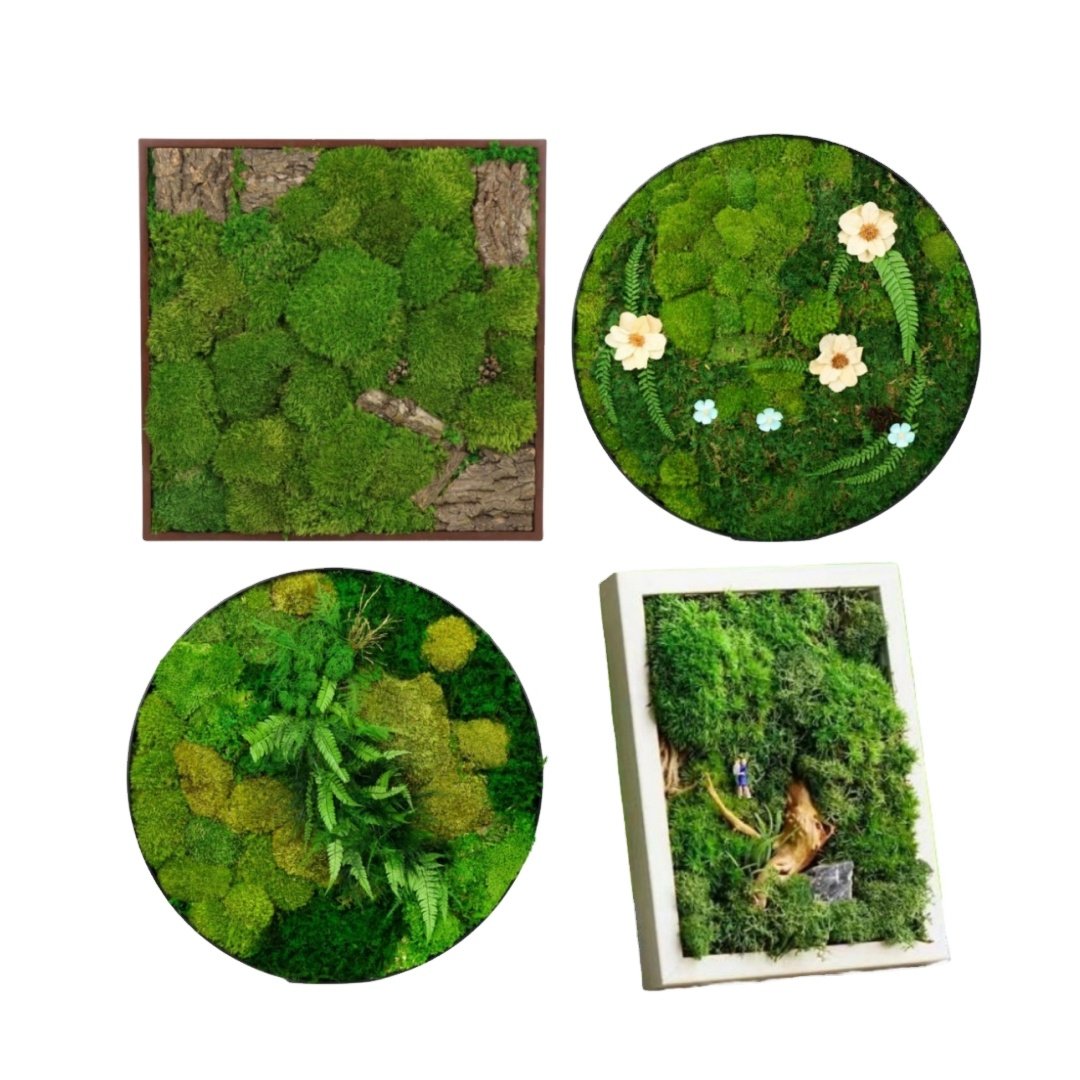 Preserved Flower supplier mosss decor preserved moss wall arts wooden wood photo frame moss wall decoration frame