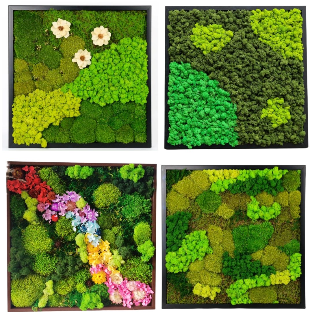 Preserved Flower supplier mosss decor preserved moss wall arts wooden wood photo frame moss wall decoration frame