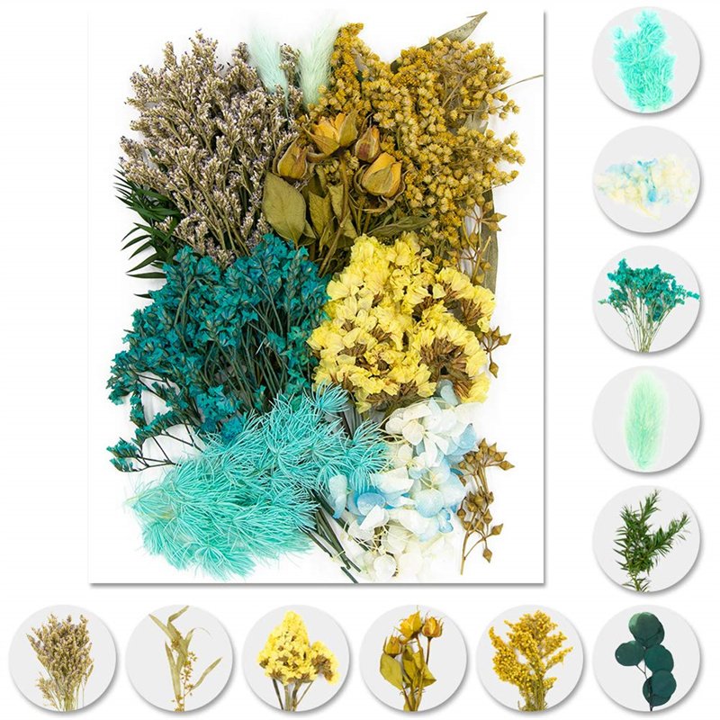 Real Multiple Colorful Pressed Flowers Daisies Dried Pressed Leaf Flowers for Craft Resin Jewelry Making Art Craft DIY
