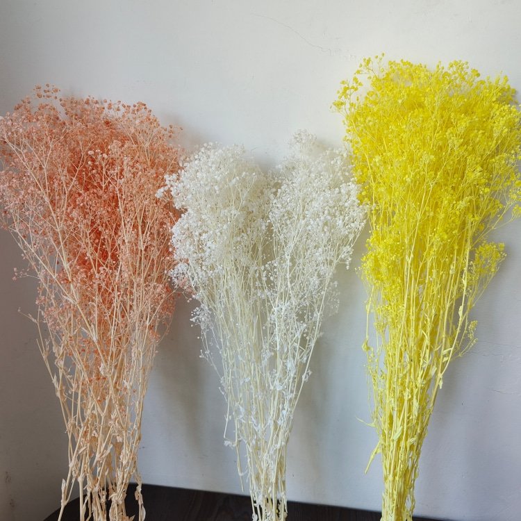 Preserved Baby's Breath Flower for Wedding Decor 90-100 Grams for Household Arrangements and Handicraft Making