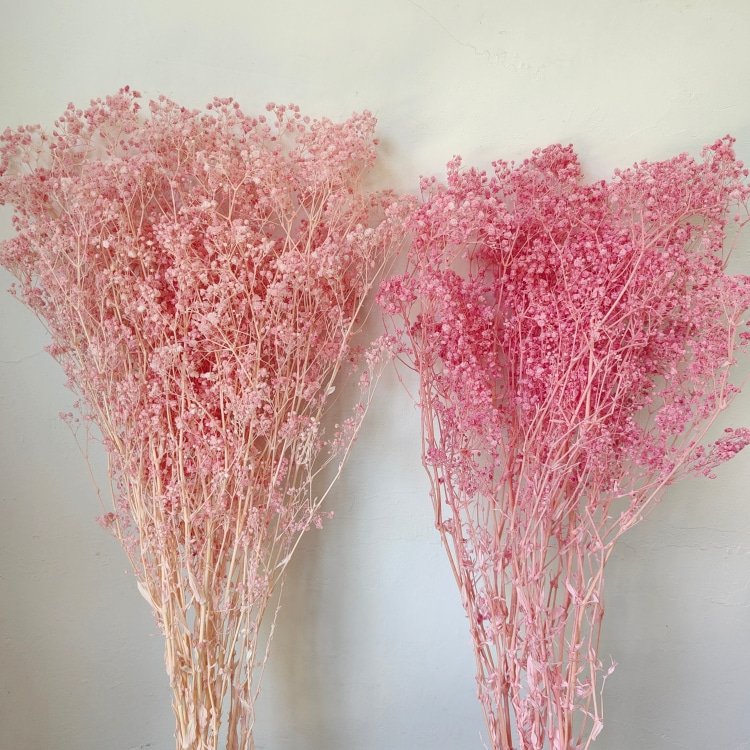 Preserved Baby's Breath Flower for Wedding Decor 90-100 Grams for Household Arrangements and Handicraft Making