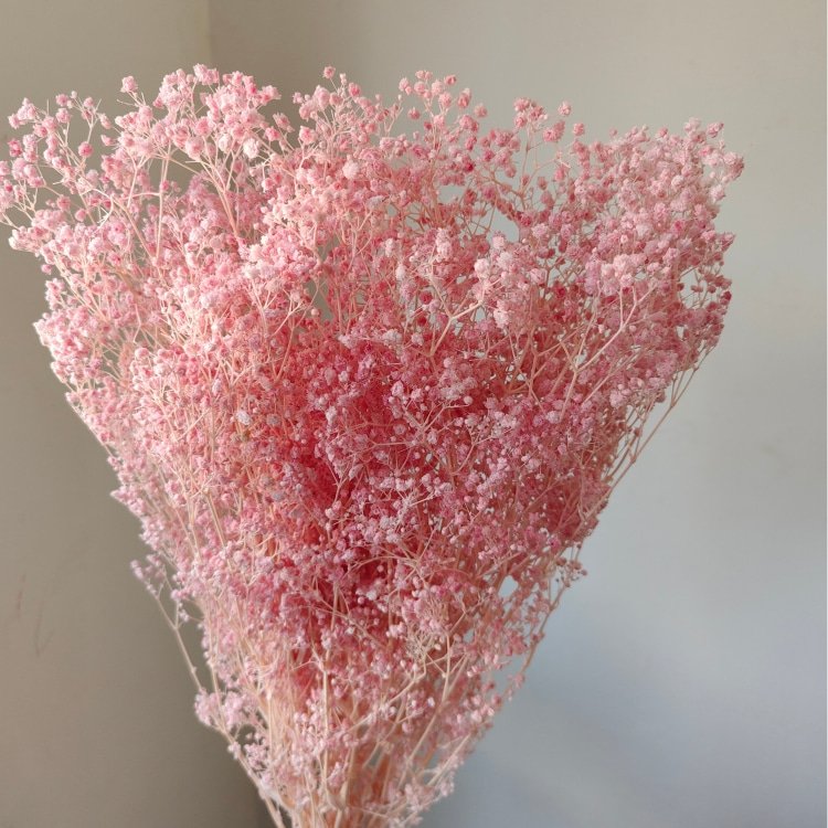 Preserved Baby's Breath Flower for Wedding Decor 90-100 Grams for Household Arrangements and Handicraft Making