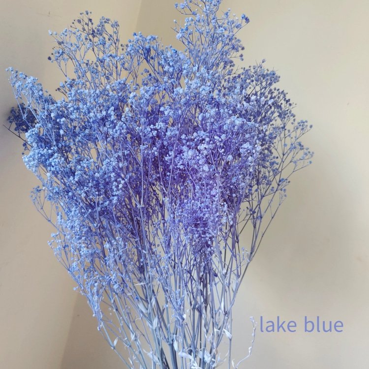 Preserved Baby's Breath Flower for Wedding Decor 90-100 Grams for Household Arrangements and Handicraft Making