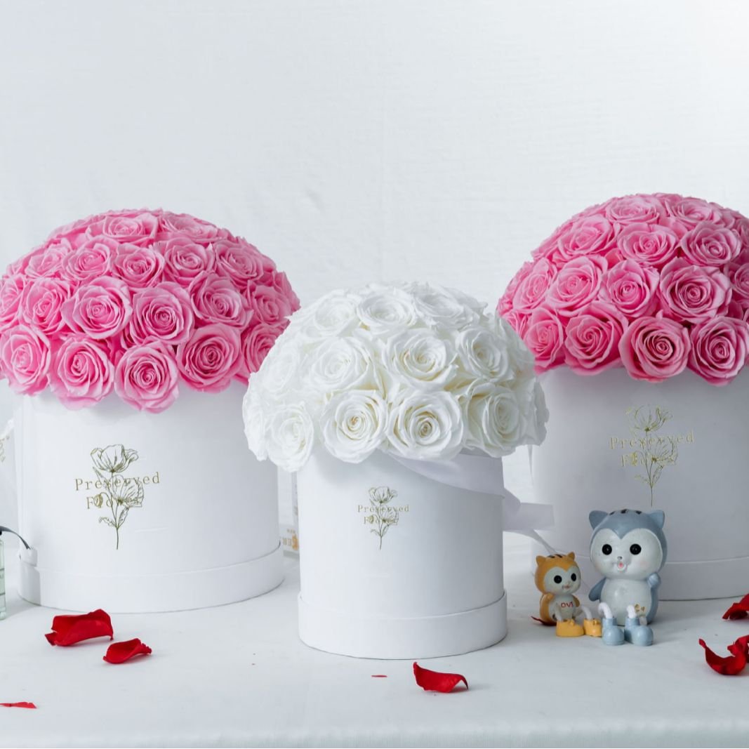 Factory Outlet Colorful Beauty Long-lasting Eternal Preserved Rose Flower in Box for Great Valentine's Day Gift Ideas