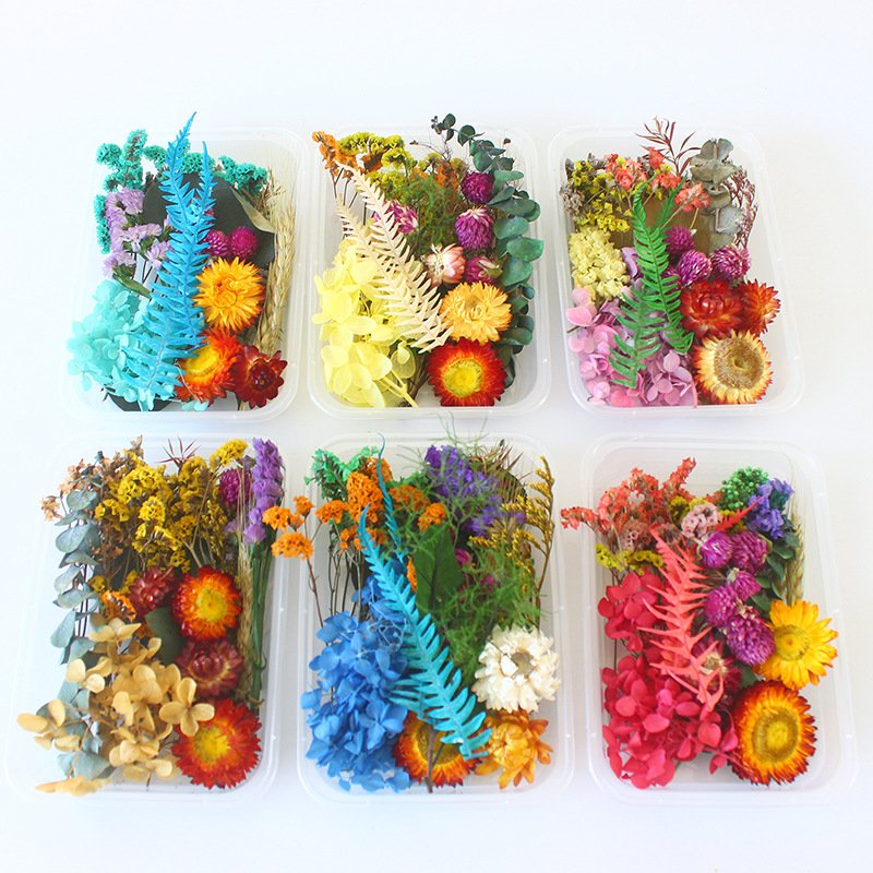 Factory Sale Various Widely Used Dried Flower Material Pack Natural Dry Flowers