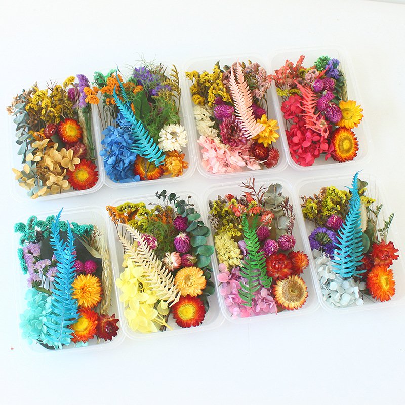Factory Sale Various Widely Used Dried Flower Material Pack Natural Dry Flowers