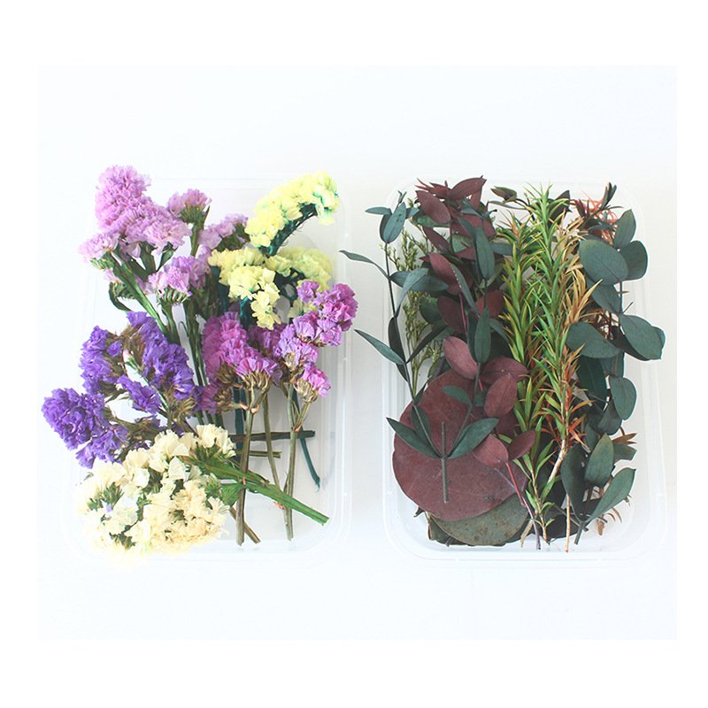 Factory Sale Various Widely Used Dried Flower Material Pack Natural Dry Flowers