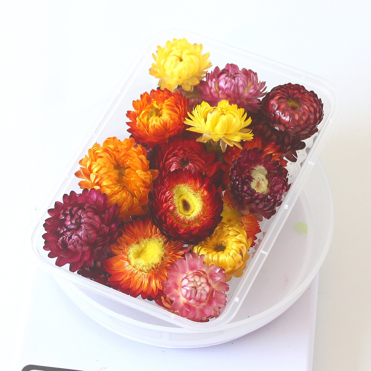 Factory Sale Various Widely Used Dried Flower Material Pack Natural Dry Flowers