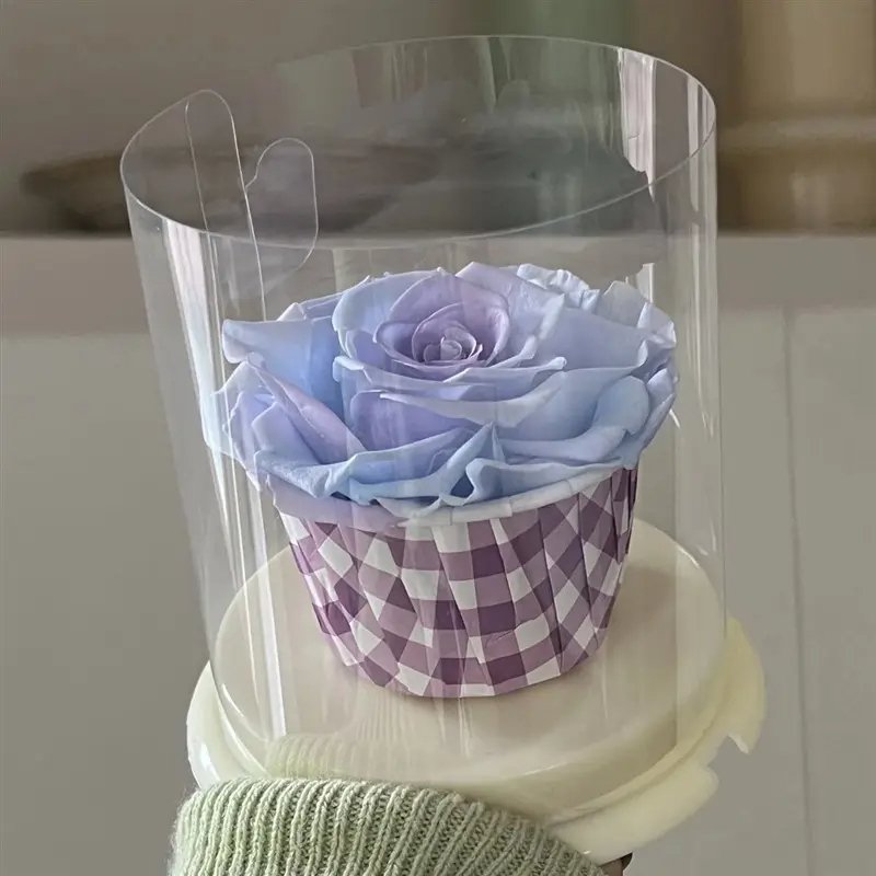 New Arrival Infinity Flower Mini Gift OEM Preserved Rose With Clear Box Protection 30 Colors Eternal Rose In Cake Box