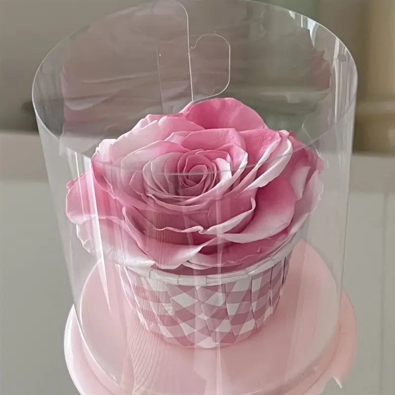 New Arrival Infinity Flower Mini Gift OEM Preserved Rose With Clear Box Protection 30 Colors Eternal Rose In Cake Box
