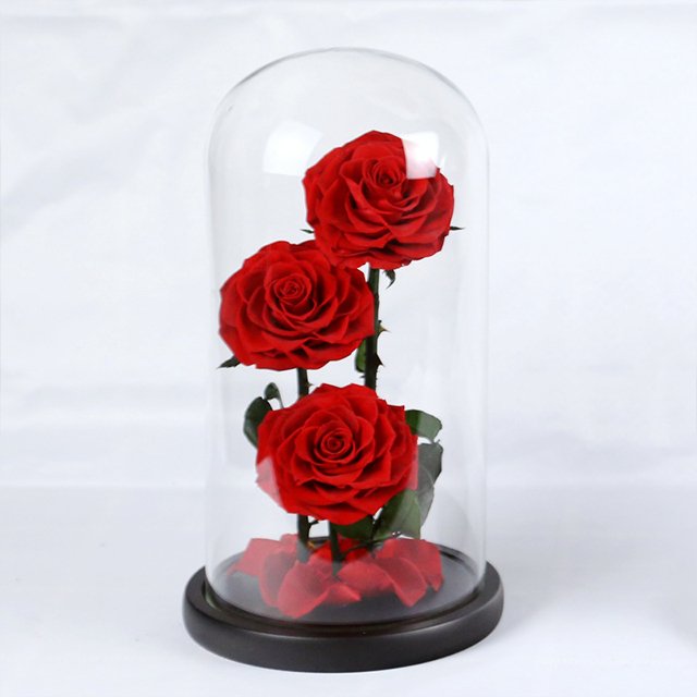Ammy Factory Preserved Flower Rose Big Prince 3 Red Roses Forever Flowers Eternal Roses In Glass Dome For Valentines Day Gifts