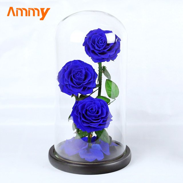 Ammy Factory Preserved Flower Rose Big Prince 3 Red Roses Forever Flowers Eternal Roses In Glass Dome For Valentines Day Gifts