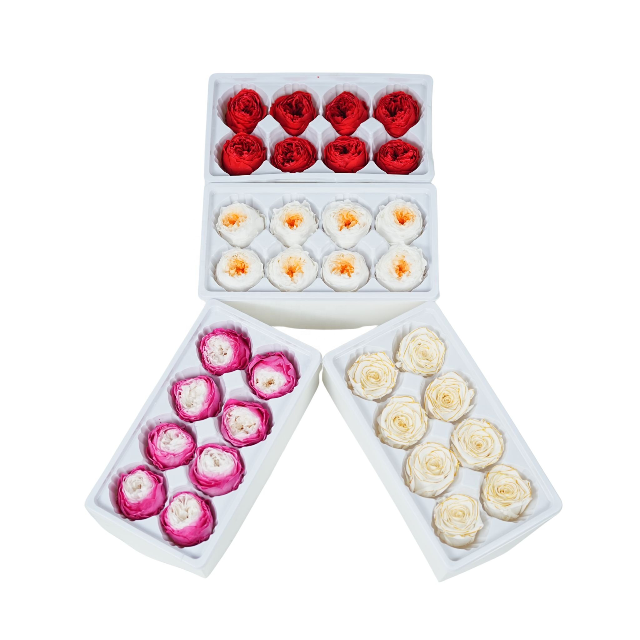 Free samples High quality eternal austin rose preserved flower fresh cut preserved austin roses