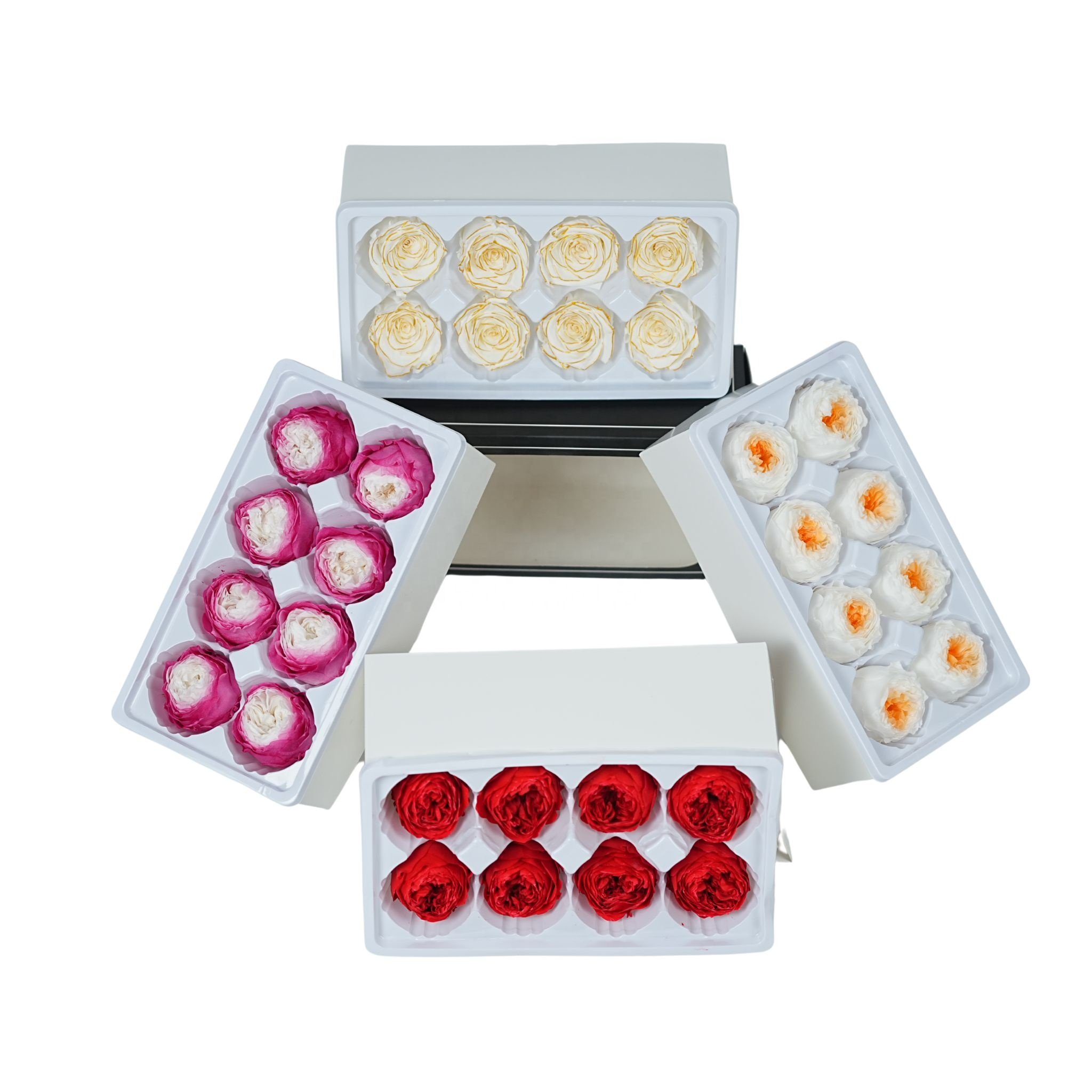 Free samples High quality eternal austin rose preserved flower fresh cut preserved austin roses