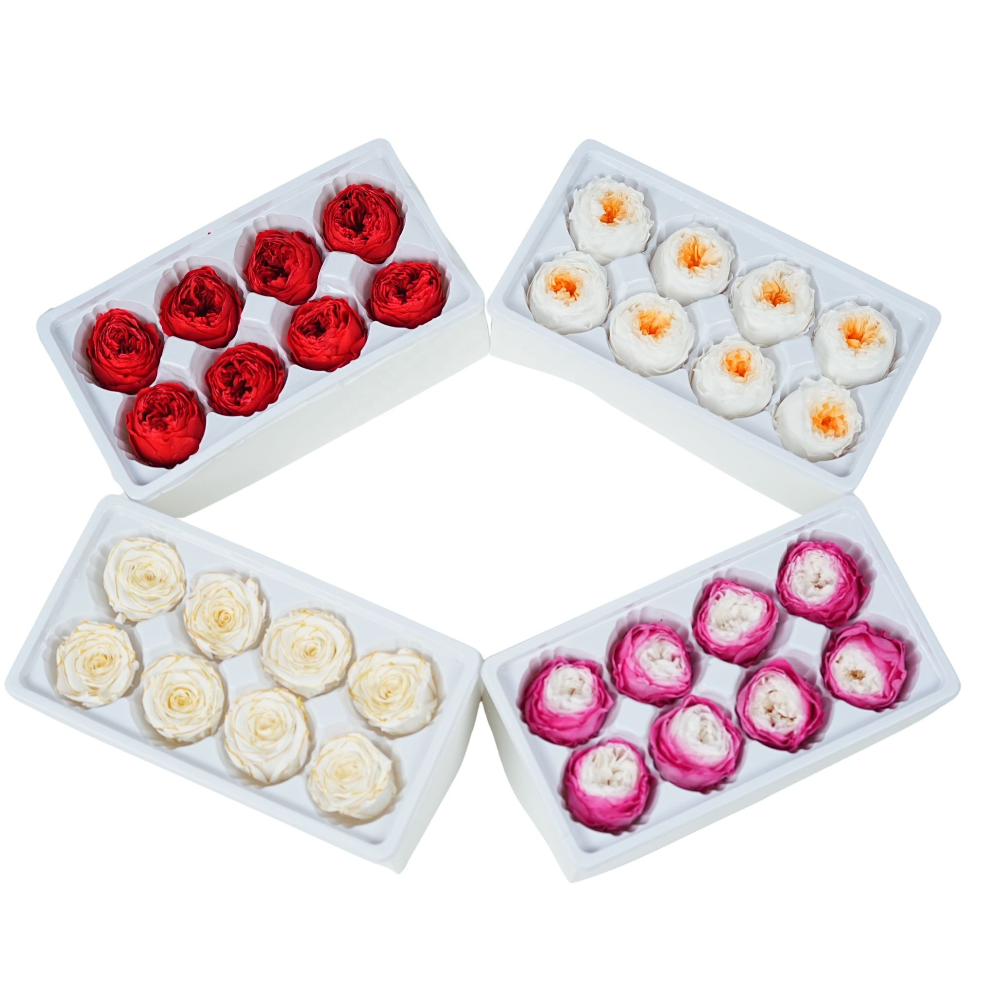 Free samples High quality eternal austin rose preserved flower fresh cut preserved austin roses
