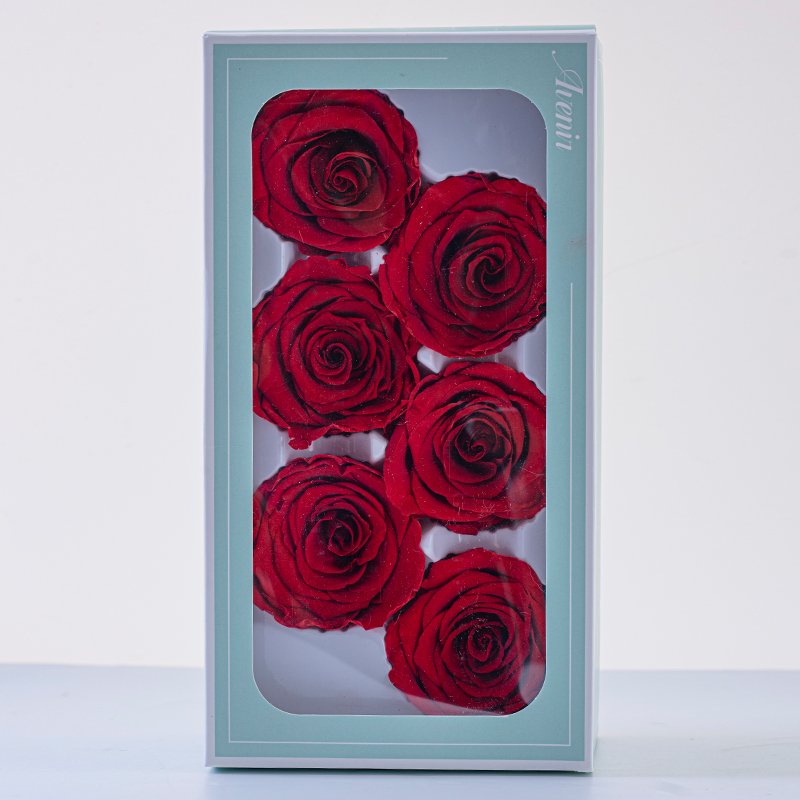Fresh B Grade China Real Natural Eternal Forever Immortal Flower Head Preserved Roses