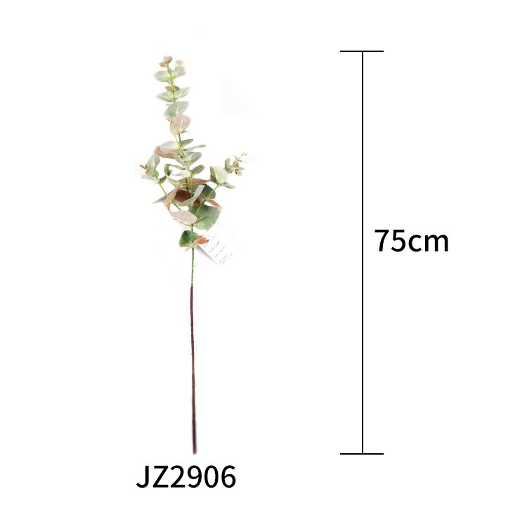 Wholesale Home Decoration Artificial Eucalyptus Leaf Tree Branches Customizable Preserved Flowers & Plants Manufacturer