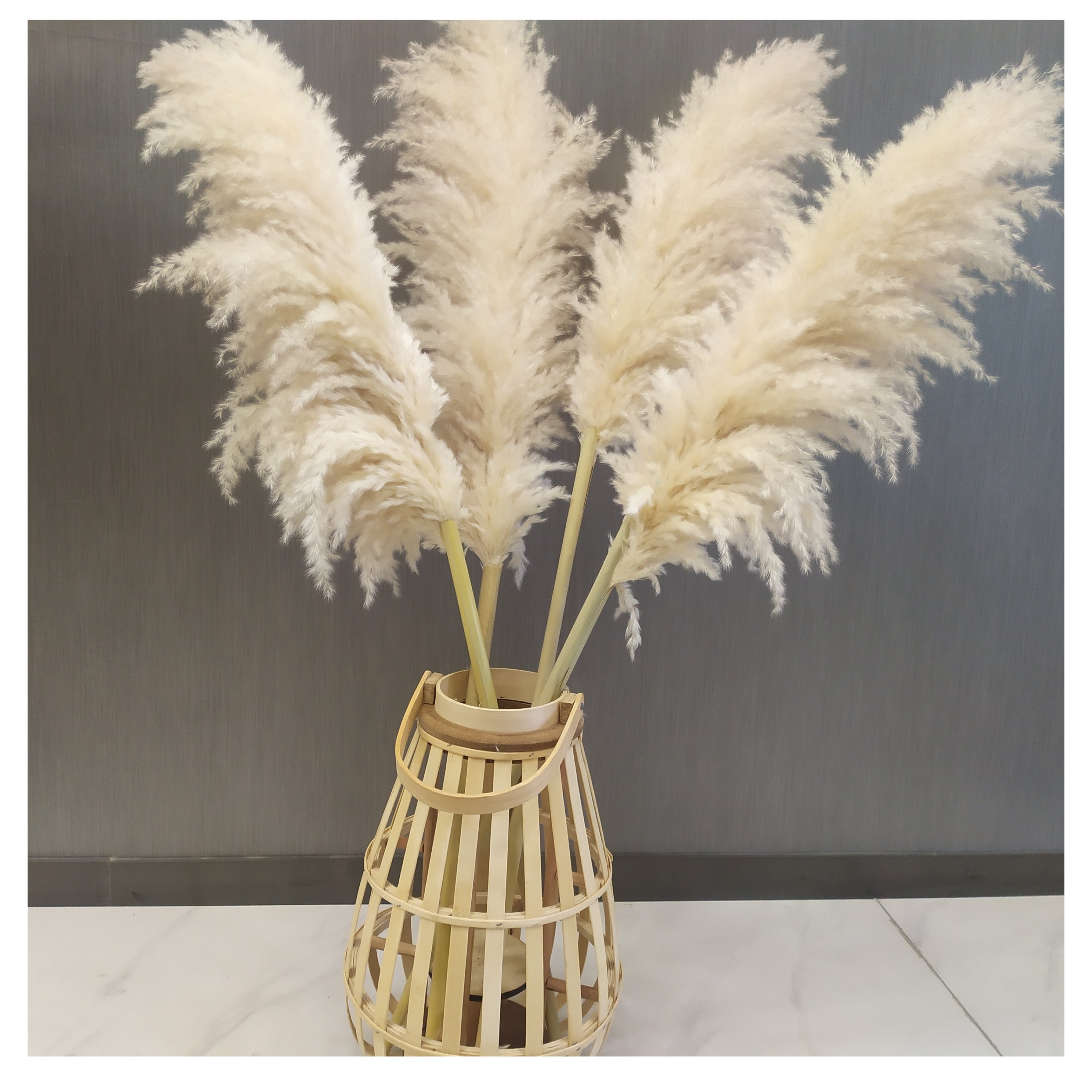 Yunnan Wholesale Decoration Pampas grass 120cm Big Pampas Grass For Floral Arrangement