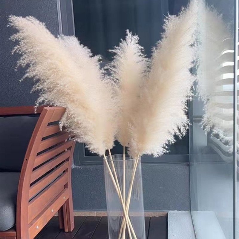 Yunnan Wholesale Decoration Pampas grass 120cm Big Pampas Grass For Floral Arrangement