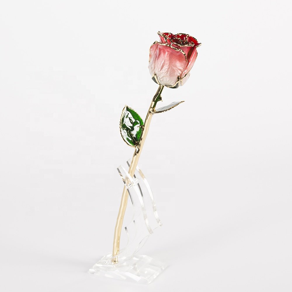 Gold trimmed rose everlasting rose natural Rose with Stem Present rose gift valentine mother day preserved flowers supply