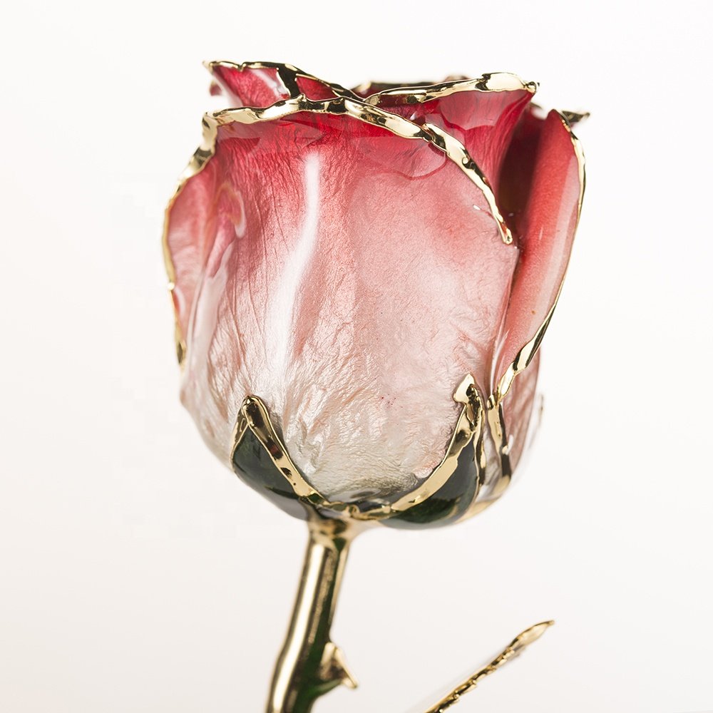Gold trimmed rose everlasting rose natural Rose with Stem Present rose gift valentine mother day preserved flowers supply