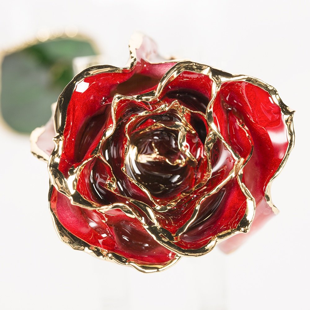 Gold trimmed rose everlasting rose natural Rose with Stem Present rose gift valentine mother day preserved flowers supply