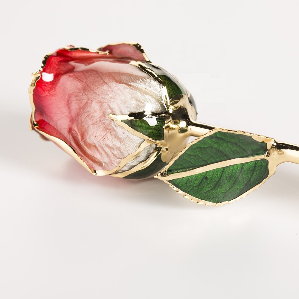 Gold trimmed rose everlasting rose natural Rose with Stem Present rose gift valentine mother day preserved flowers supply