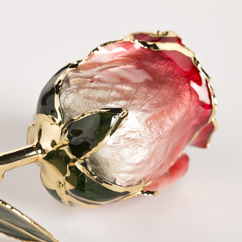Gold trimmed rose everlasting rose natural Rose with Stem Present rose gift valentine mother day preserved flowers supply