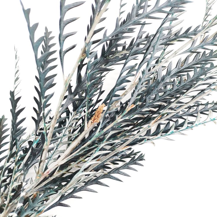 SumFlora top sellers 2024 wholesale Yunnan multi-colored preserved flowers wedding decoration flower serrated leaf