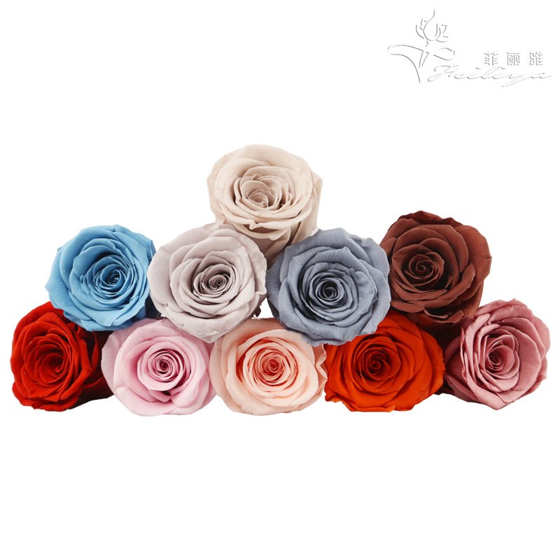 AYOYO OEM Wholesale Fresh Ecuador Preserved Roses fro mother's day gift making Stabilized Roses