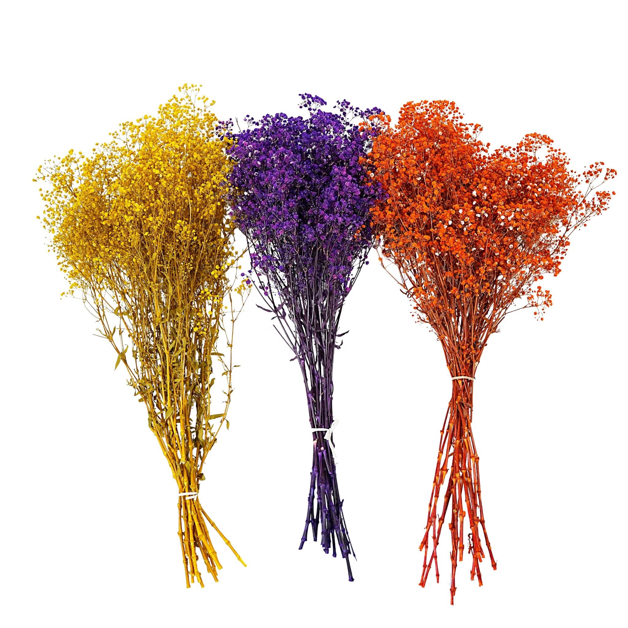 Factory direct sales babybreath eternal flower eternity preserved dried flower dried preserved flower gypsophila