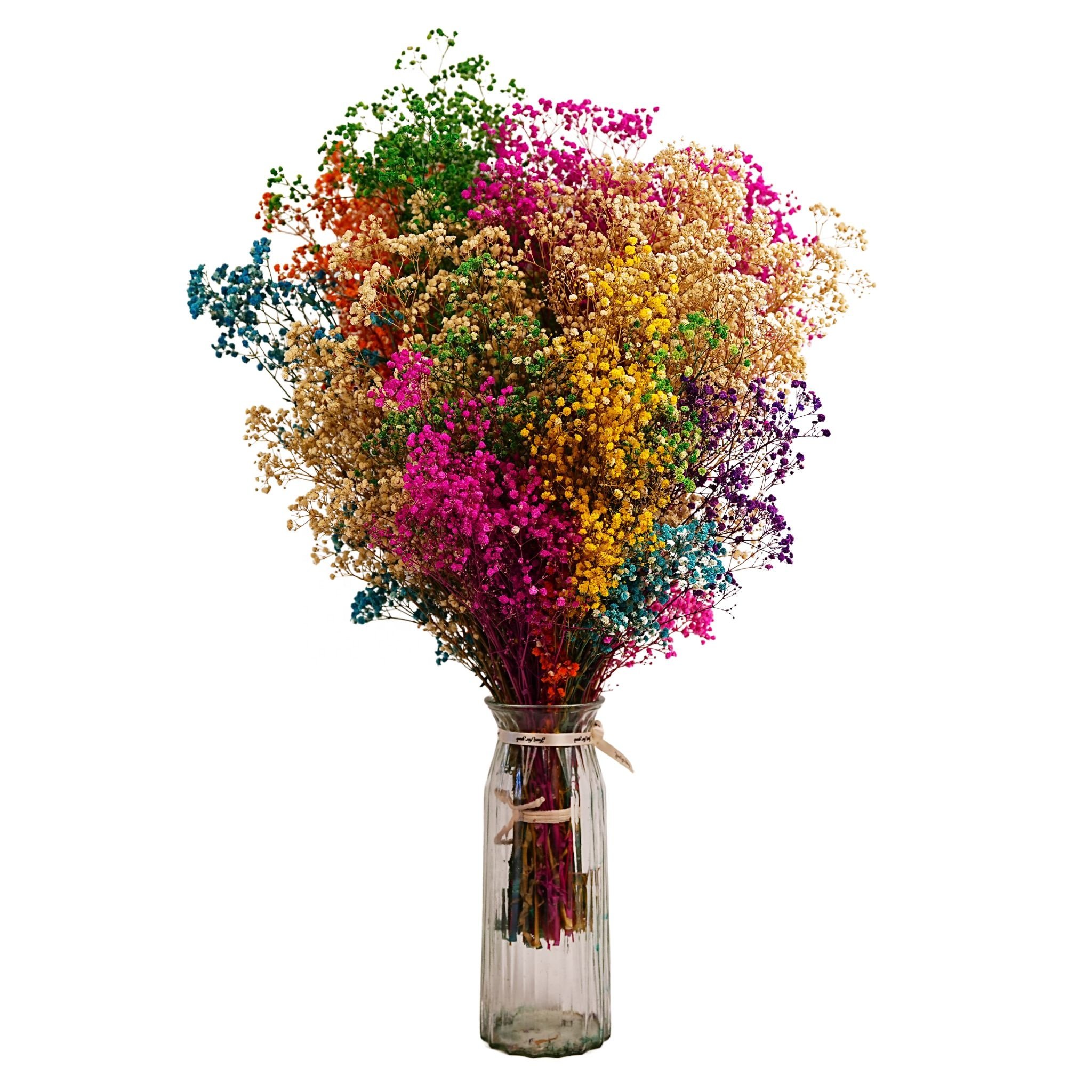 Factory direct sales babybreath eternal flower eternity preserved dried flower dried preserved flower gypsophila