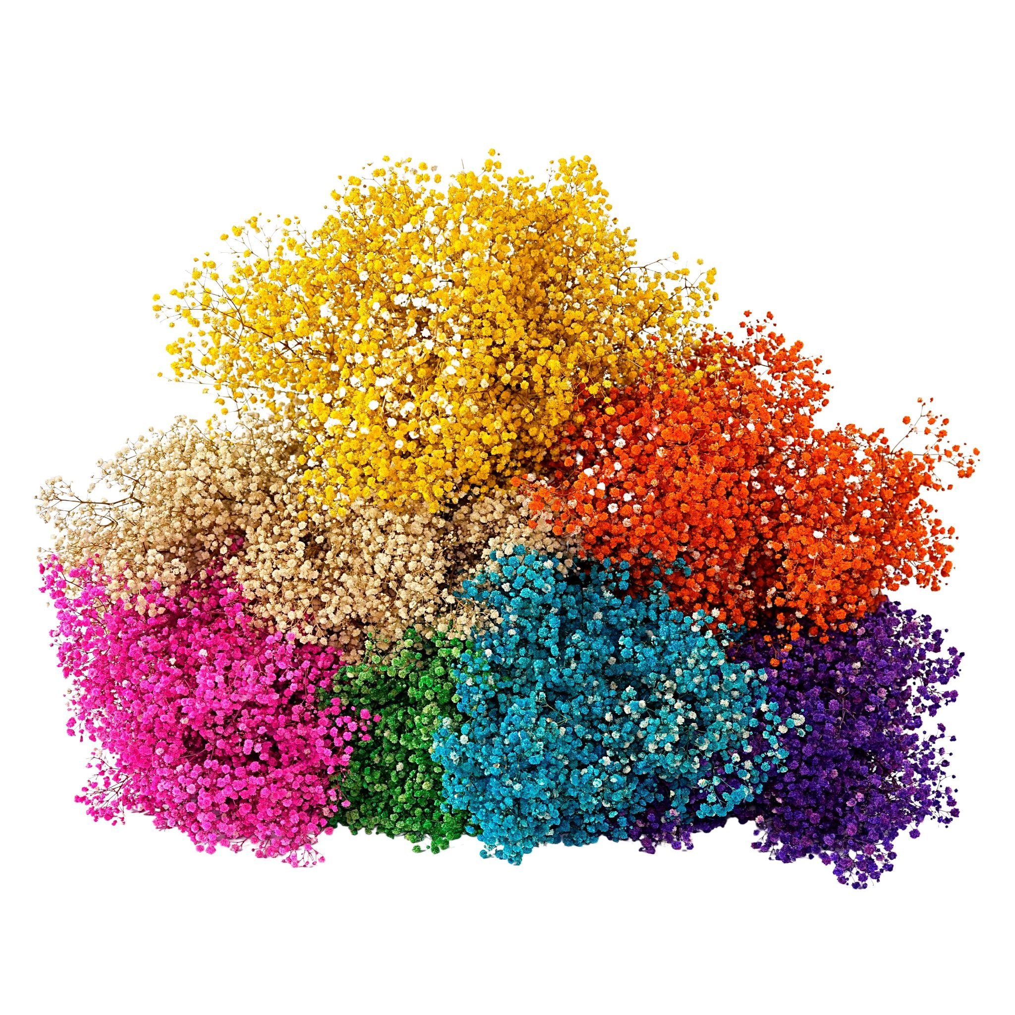 Factory direct sales babybreath eternal flower eternity preserved dried flower dried preserved flower gypsophila
