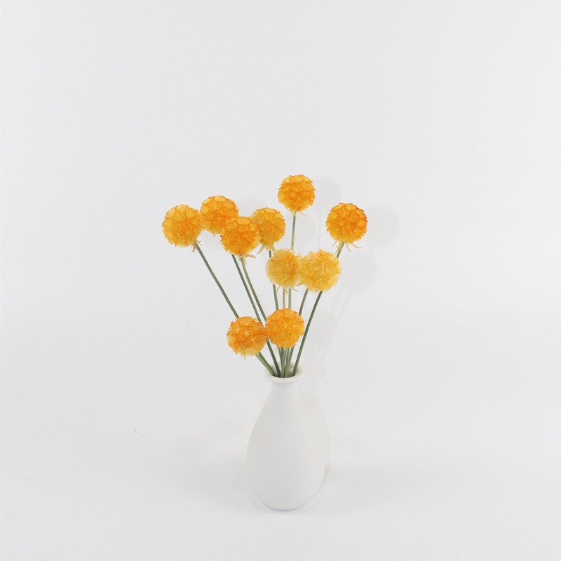 Pure colors preserved scabiosa preserevd flower for house decor