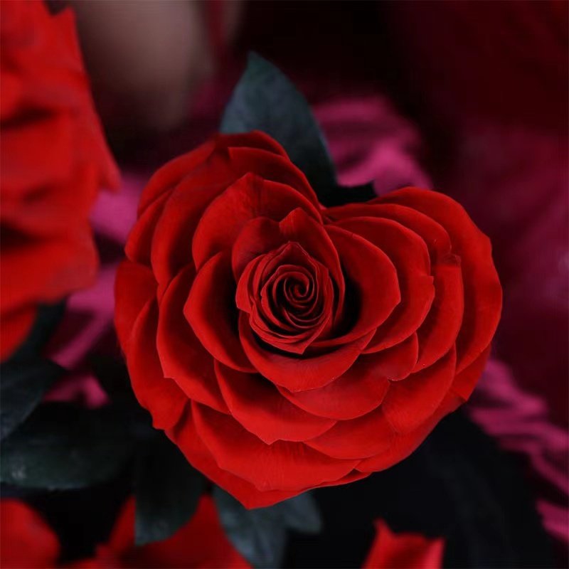 Sale preserved roses valentines gift natural scent unique christmas products
