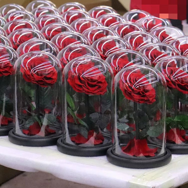Preserved Real Rose In Glass Wine Red Eternal Rose Gift Woman Box Preserved Flower Glass Dome Display Gift Boxes with Rose