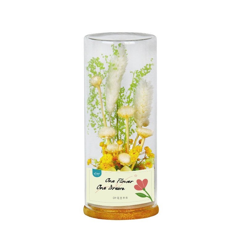 Dried Flowers valentines day gift Box Customized Birthday Gifts Eternal Flower Holiday Gifts Friends Present Home Ornaments