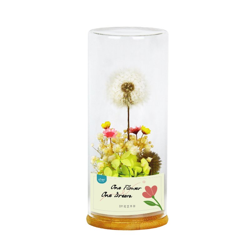 Dried Flowers valentines day gift Box Customized Birthday Gifts Eternal Flower Holiday Gifts Friends Present Home Ornaments