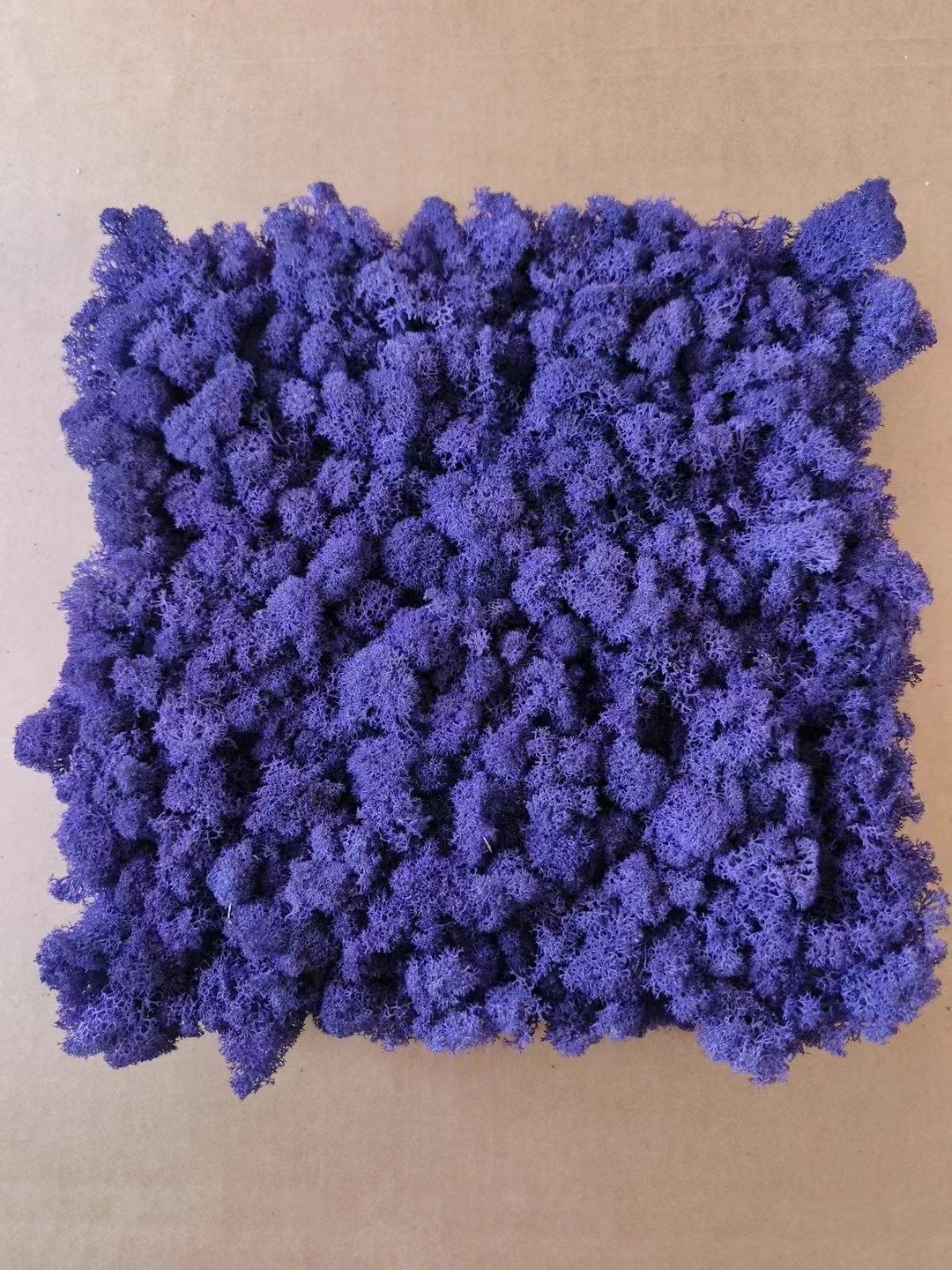 2024 Hot selling Wholesale Natural Moss Panel Box Preserved Decorative flowers Preserved Fresh Moss For Wall Decoration