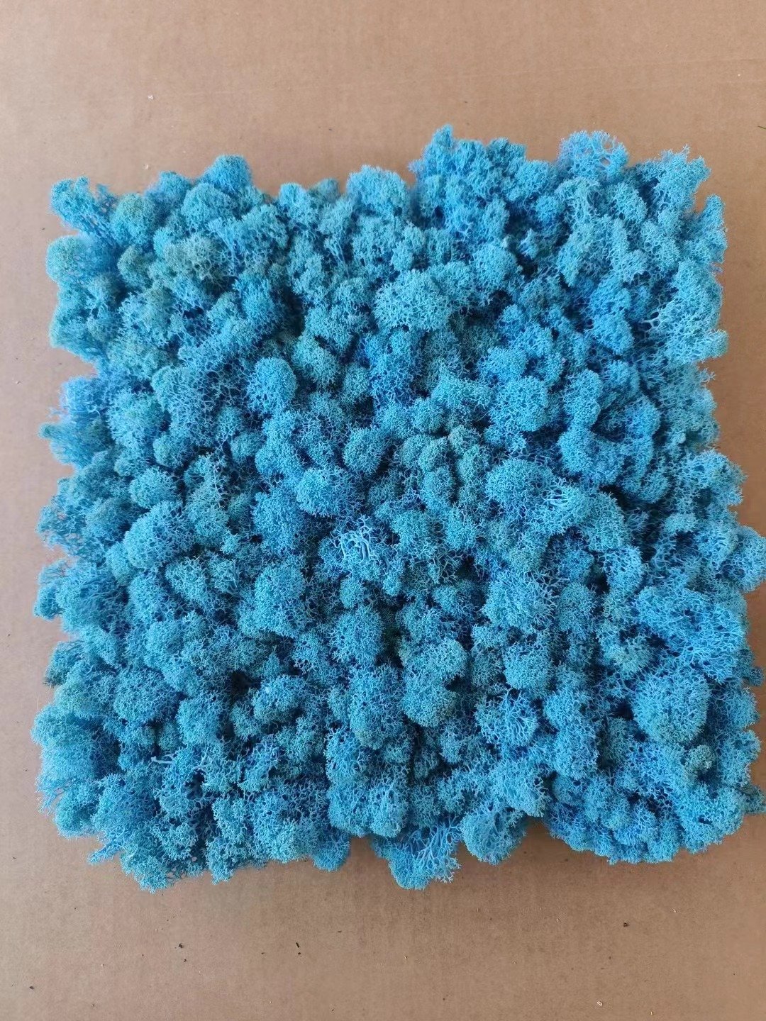 2024 Hot selling Wholesale Natural Moss Panel Box Preserved Decorative flowers Preserved Fresh Moss For Wall Decoration