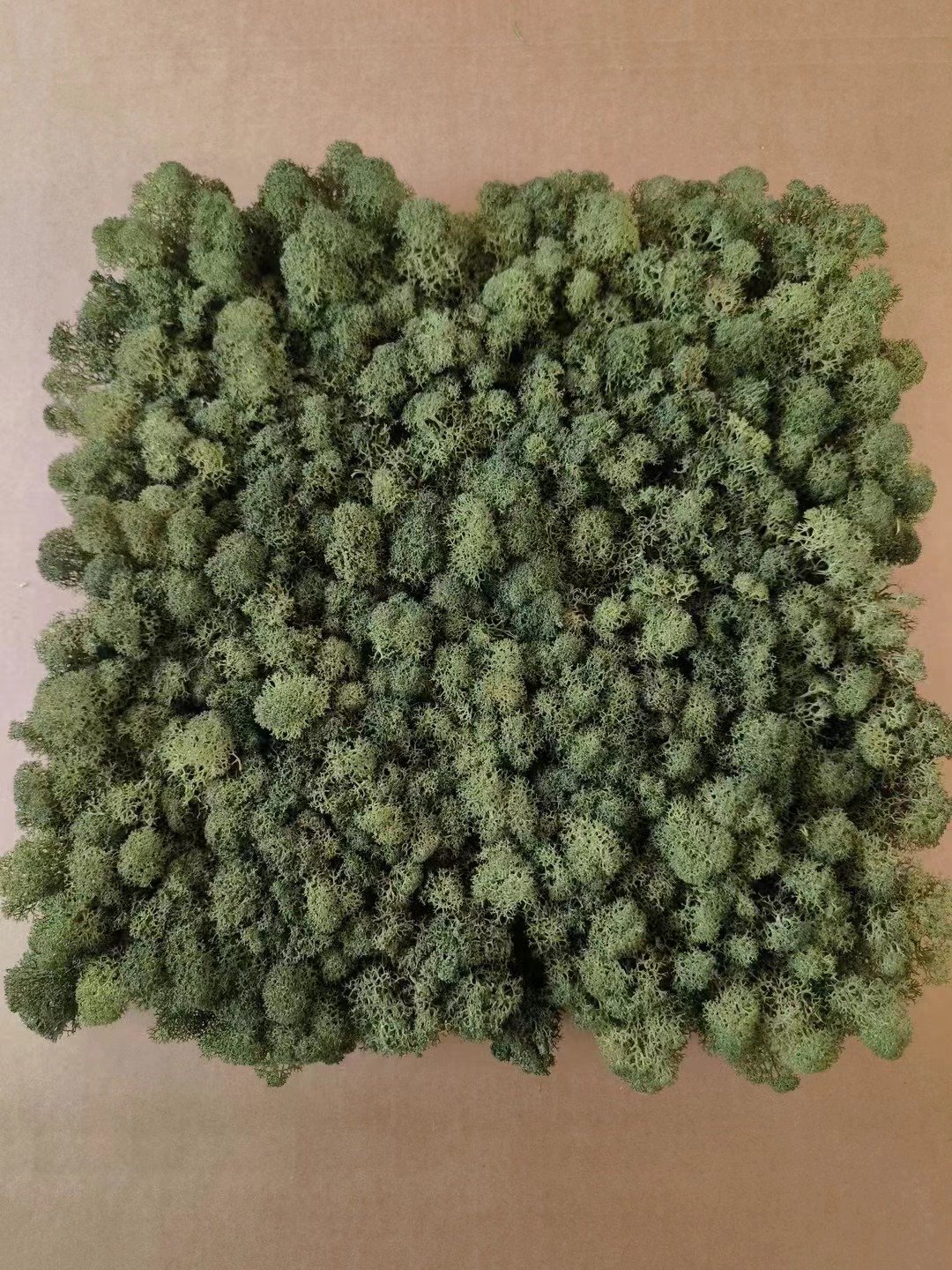 2024 Hot selling Wholesale Natural Moss Panel Box Preserved Decorative flowers Preserved Fresh Moss For Wall Decoration