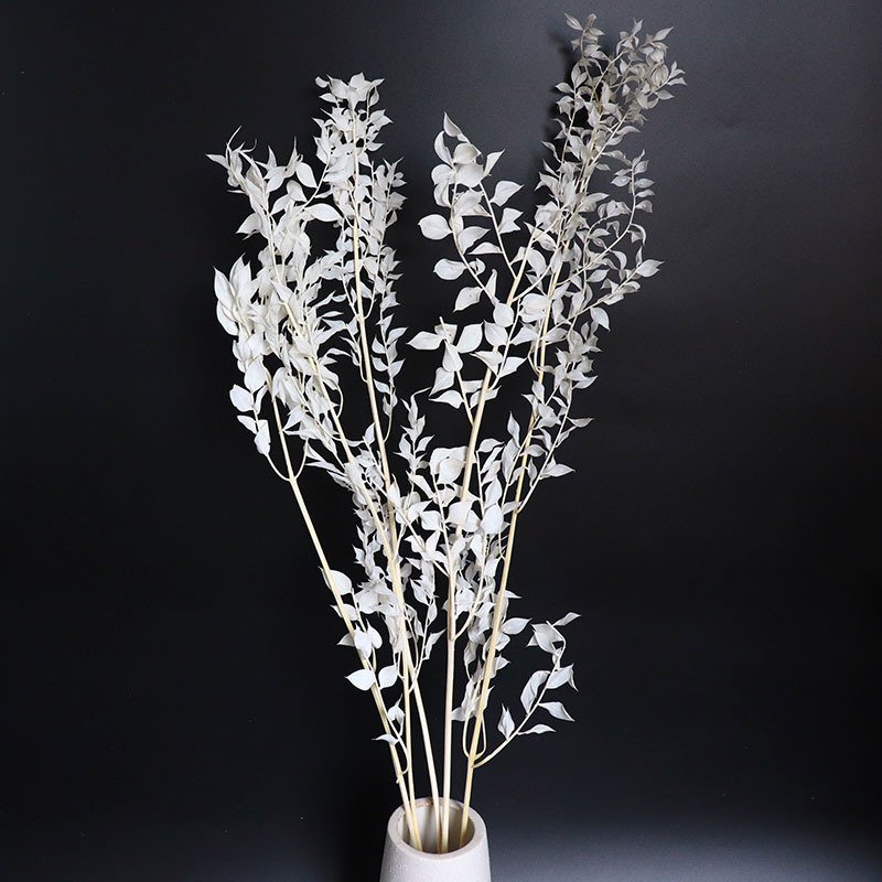 Preserved natural ruskus flowers, strong small leaves, floral materials, home wedding party decoration