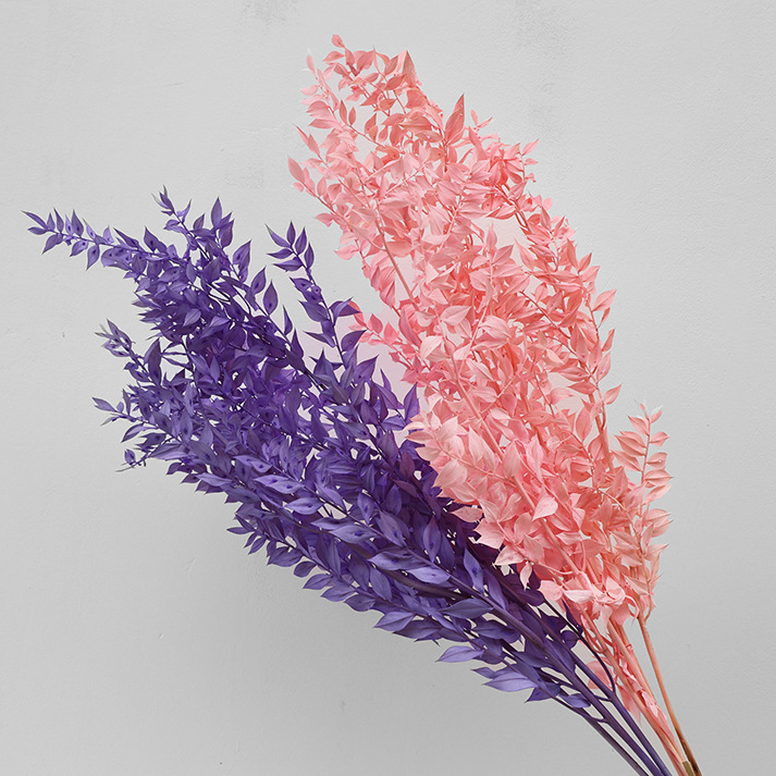 Preserved natural ruskus flowers, strong small leaves, floral materials, home wedding party decoration
