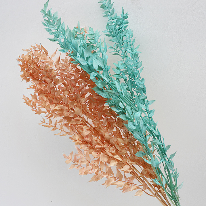 Preserved natural ruskus flowers, strong small leaves, floral materials, home wedding party decoration
